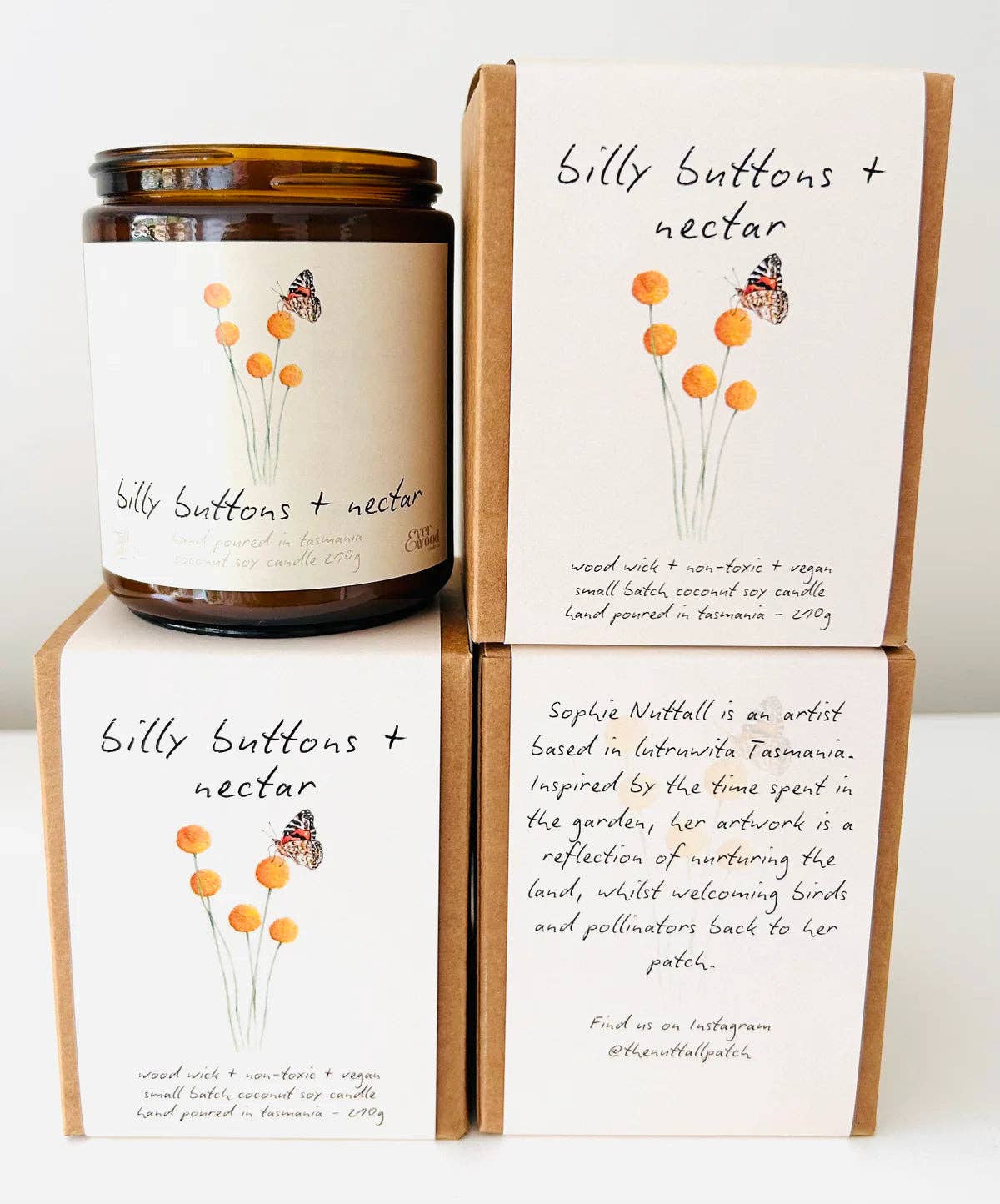 Art Candle - Billy Buttons + Nectar