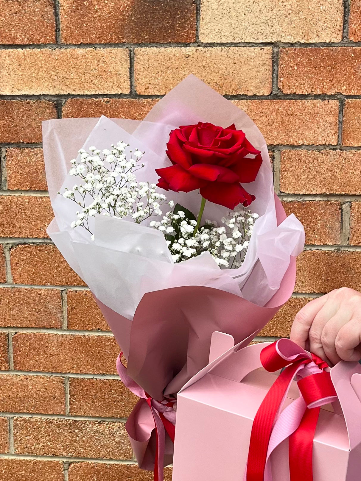 Single Rose