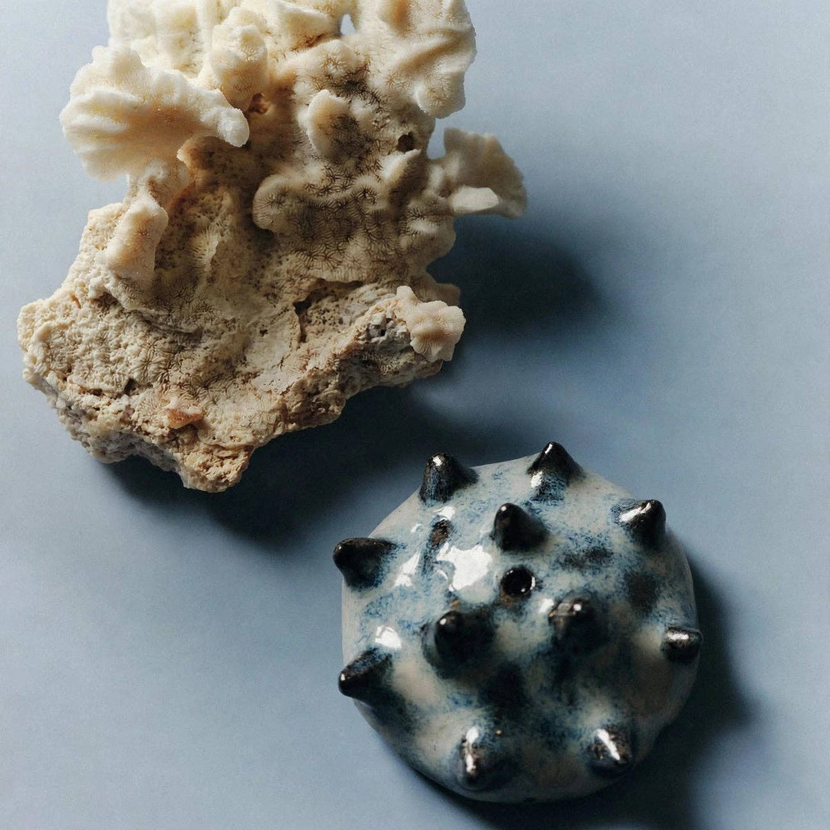 Foraged Urchin Ceramic Incense Holder