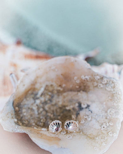 Oceania Shell Stud Earrings