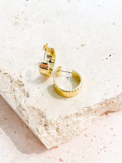 Silva 18K Gold Plated Loop Earrings