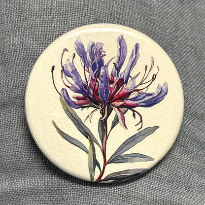 AUSTRALIAN FLORALS Large Magnets set of 4 - SET B