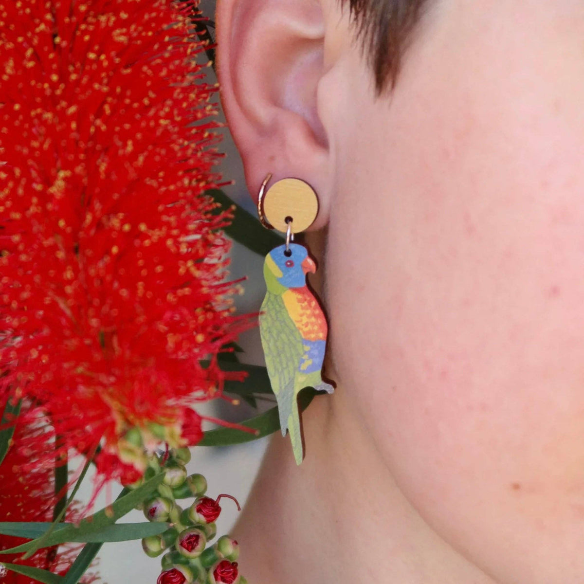 Earrings - Rainbow Lorikeet Australian Bird