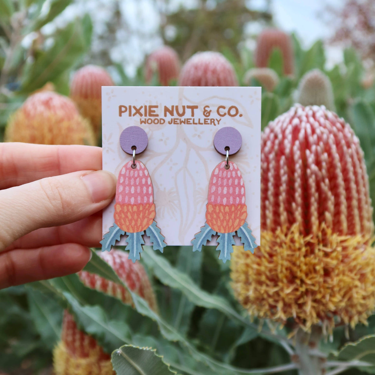 Earrings - Banksia Australian Wildflower
