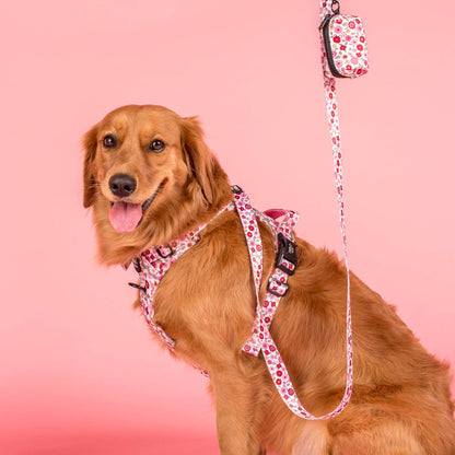 Primrose: Dog Poop Bag Holder