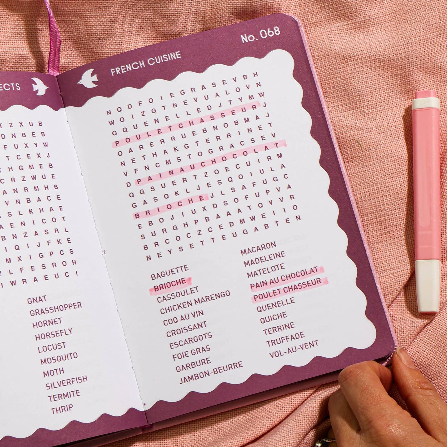 Word Search Book