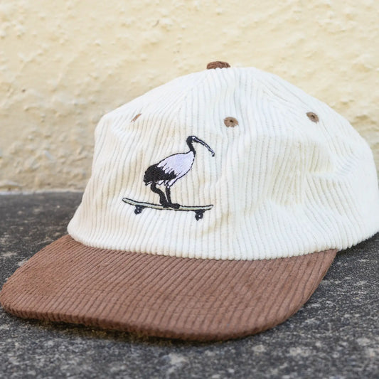 Skatepark Scavenger - Corduroy Cap