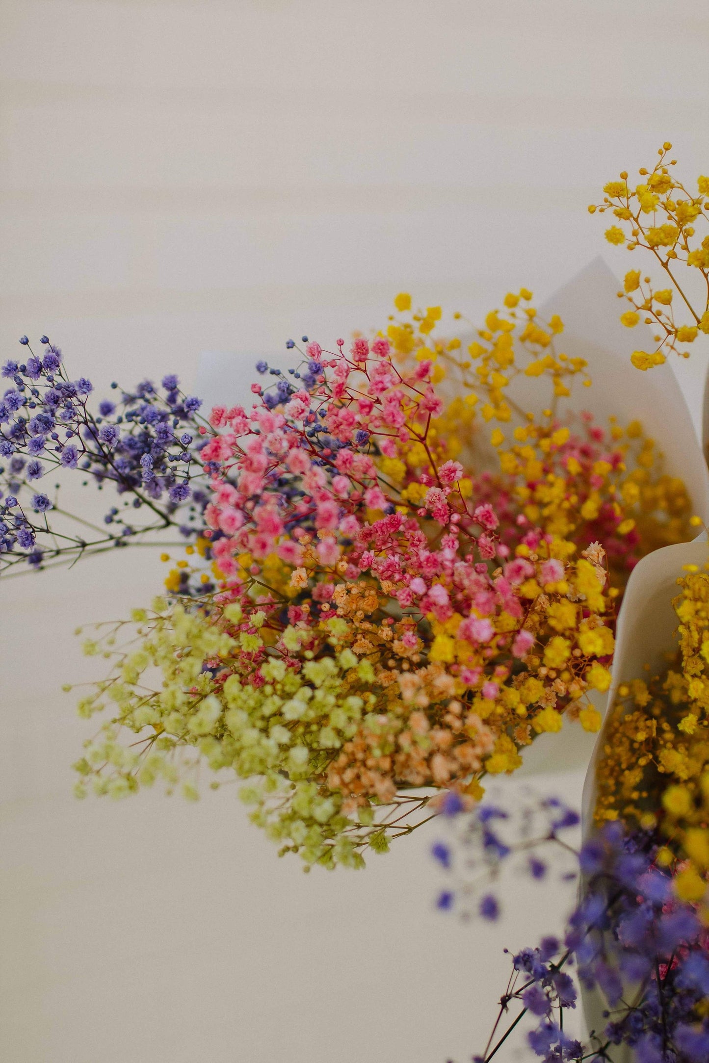 'Rainbow Brite' Dried Flowers Bouquet