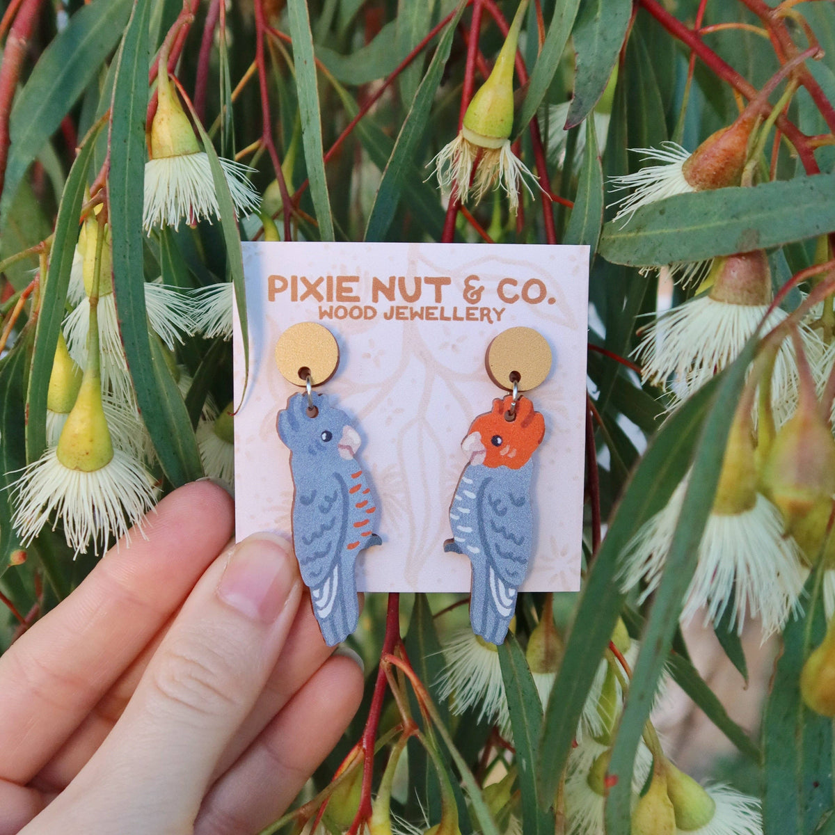 Earrings - Gang Gang Cockatoo Australian Bird