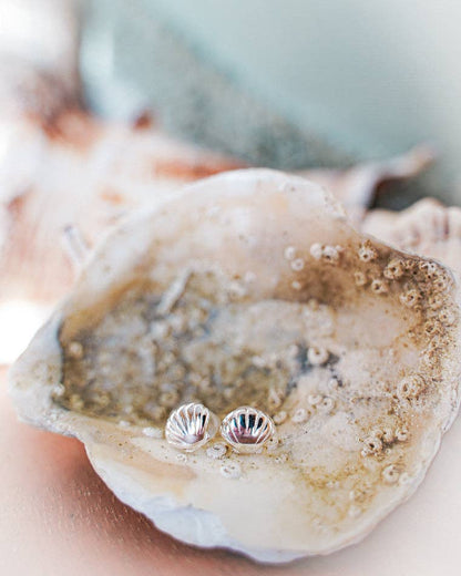 Oceania Shell Stud Earrings