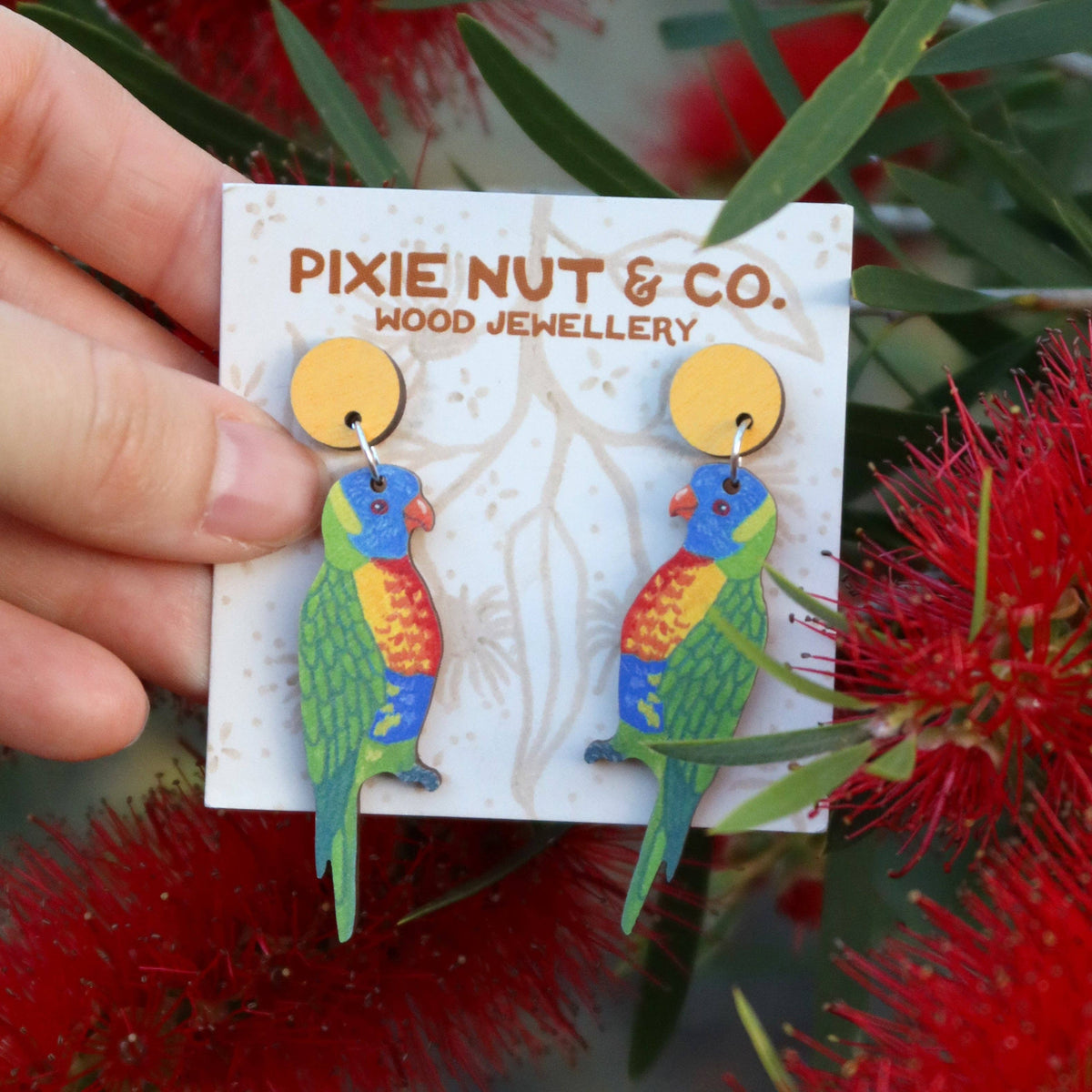 Earrings - Rainbow Lorikeet Australian Bird