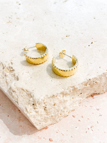 Silva 18K Gold Plated Loop Earrings