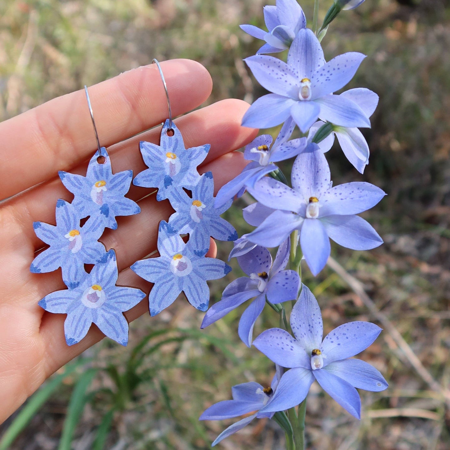Earrings - Sun Orchid Australian Wildflower